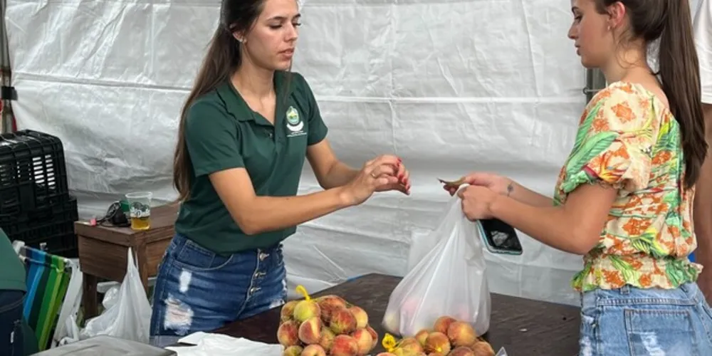 A 43ª Festa do Pêssego, realizada no último final de semana em Irati, superou as expectativas de produtores de pêssego, ameixa e morango da região