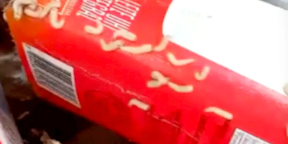 Flagrante foi publicado nas redes sociais nesta segunda