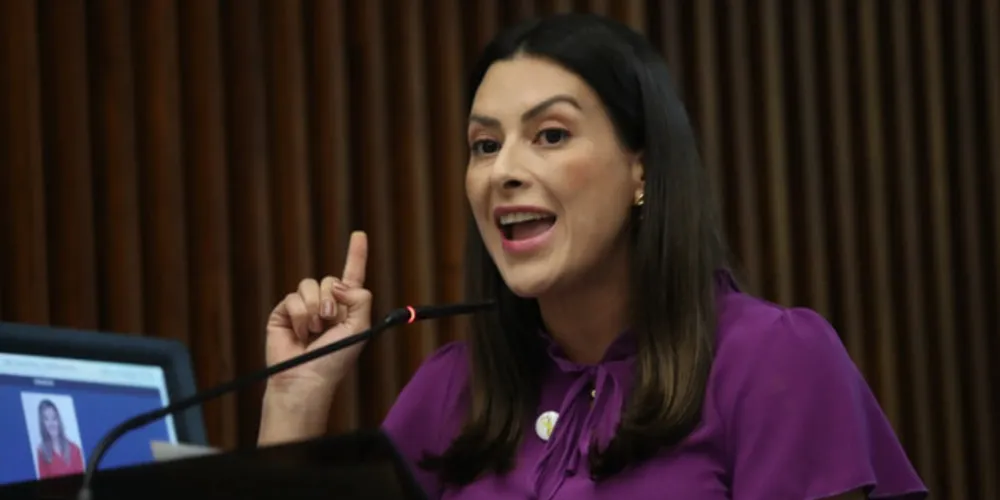 Mabel Canto fará parte da Frente Parlamentar de apoio aos municípios com parceria com a AMP