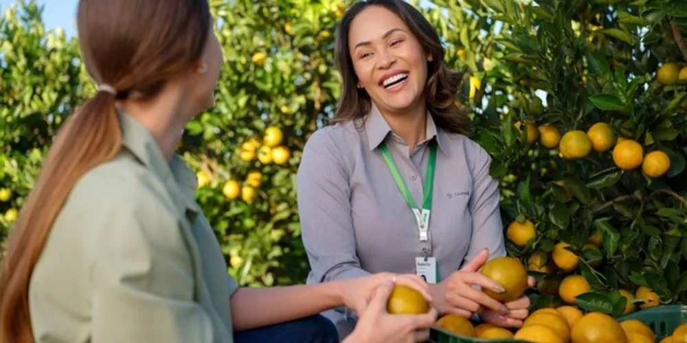 Segundo o último Censo Agropecuário do IBGE, 18,6% das propriedades rurais brasileiras são lideradas por mulheres