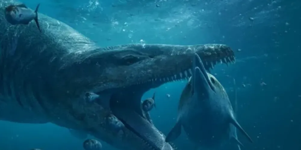 Animal é gigante sendo encontrado no mar da Inglaterra