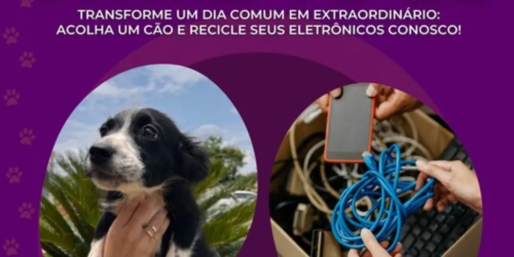 O ‘Patas e Plugs’ representa esforço significativo para promover a adoção responsável de animais e a conscientização ambiental na comunidade.