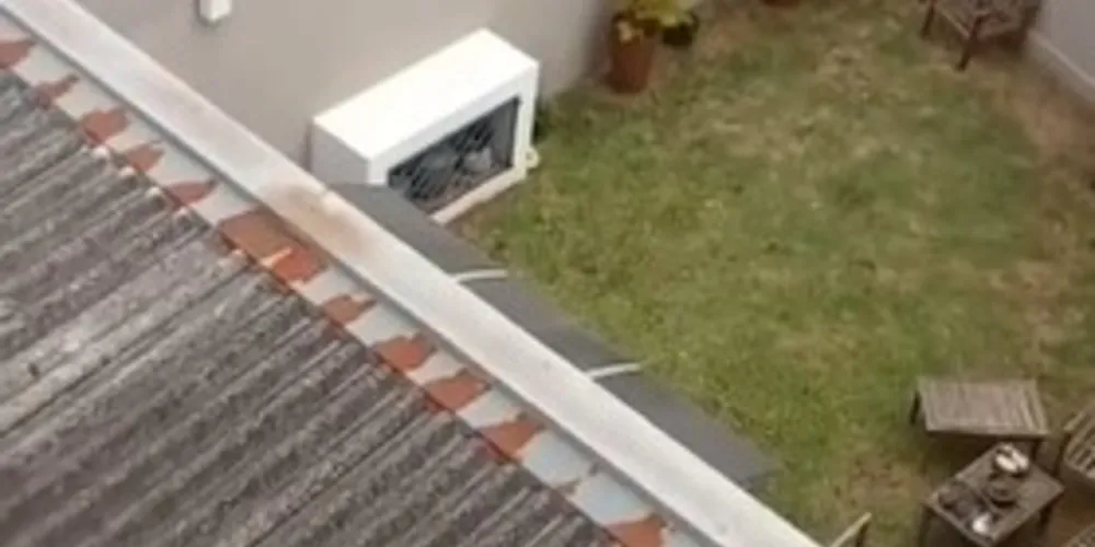 Vídeo foi divulgado nesta manhã de quinta-feira (19)