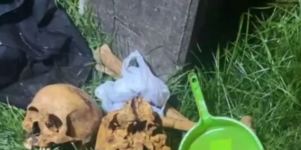 Dois crânios humanos foram localizados com as suspeitas