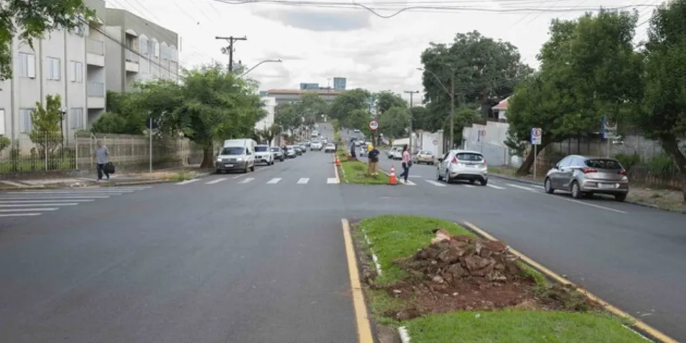 Nessas vias serão feitas as adequações dos canteiros centrais, corte e substituição de espécies arbóreas, nova iluminação, construção de ciclovia e pista de caminhada