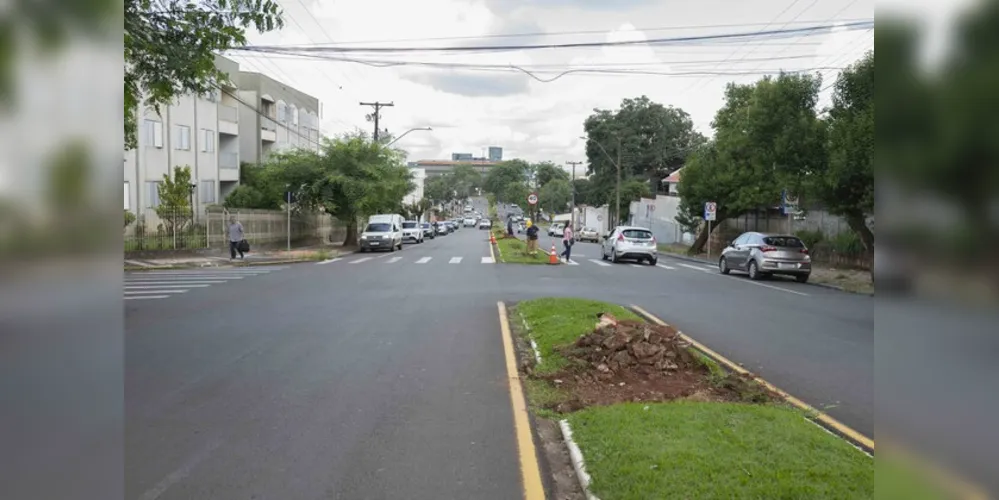 Nessas vias serão feitas as adequações dos canteiros centrais, corte e substituição de espécies arbóreas, nova iluminação, construção de ciclovia e pista de caminhada