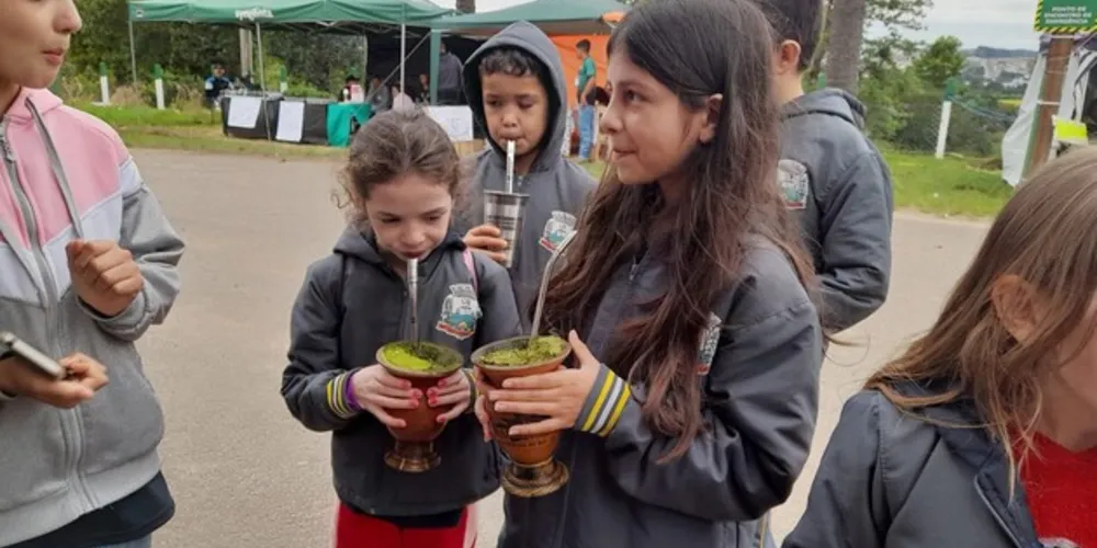 Cultivo da erva-mate foi um dos tópicos explorados no local