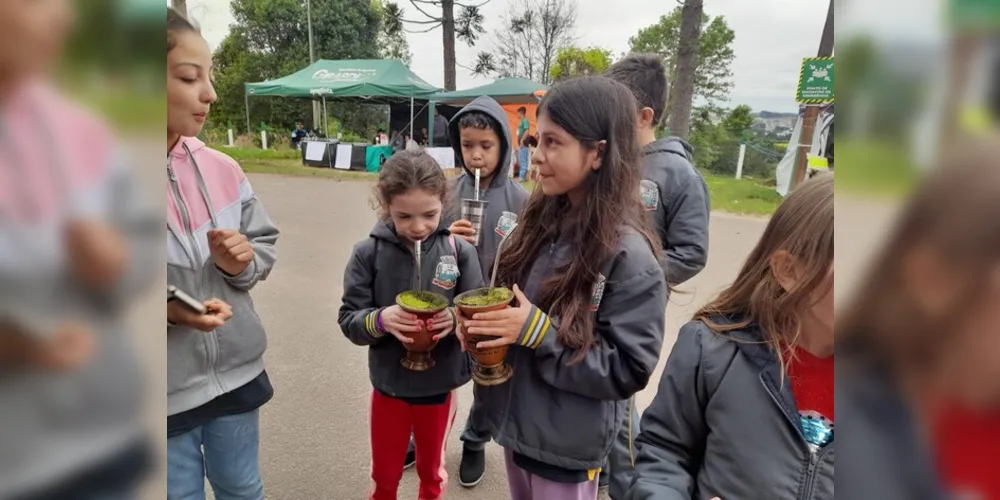 Cultivo da erva-mate foi um dos tópicos explorados no local