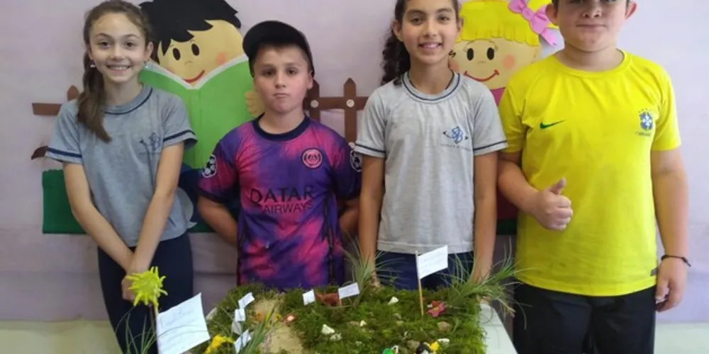 A proposta de atividade consistiu na representação de uma cadeia alimentar, seguida por uma apresentação do material