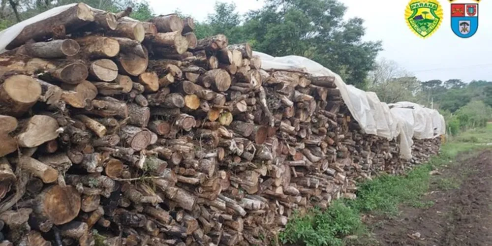 A lenha foi apreendida pelas autoridades competentes