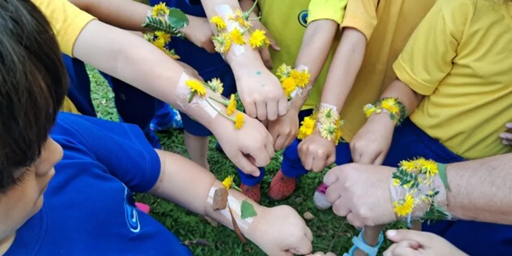 Com um passeio pela área da escola, as crianças realizaram a coleta de folhas e flores