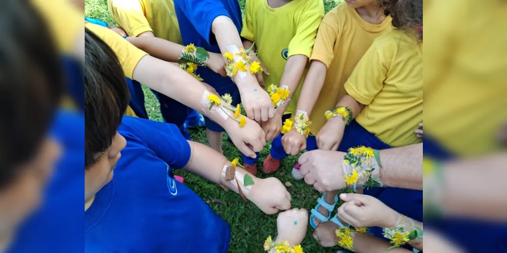 Com um passeio pela área da escola, as crianças realizaram a coleta de folhas e flores