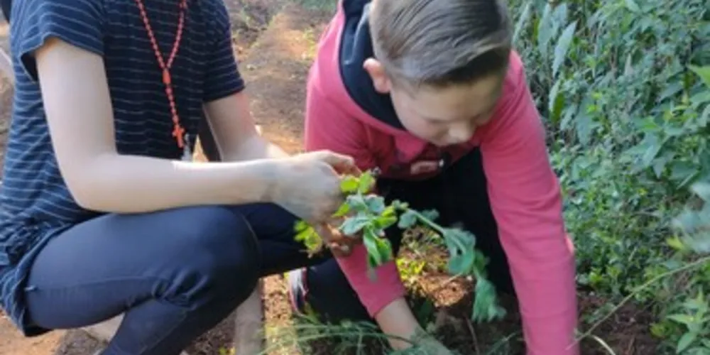 Crianças foram as principais responsáveis pela revitalização do espaço