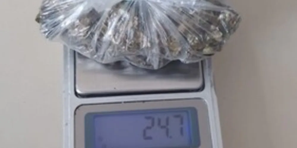 Drogas foram apreendidas  na manhã deste sábado em Ponta Grossa