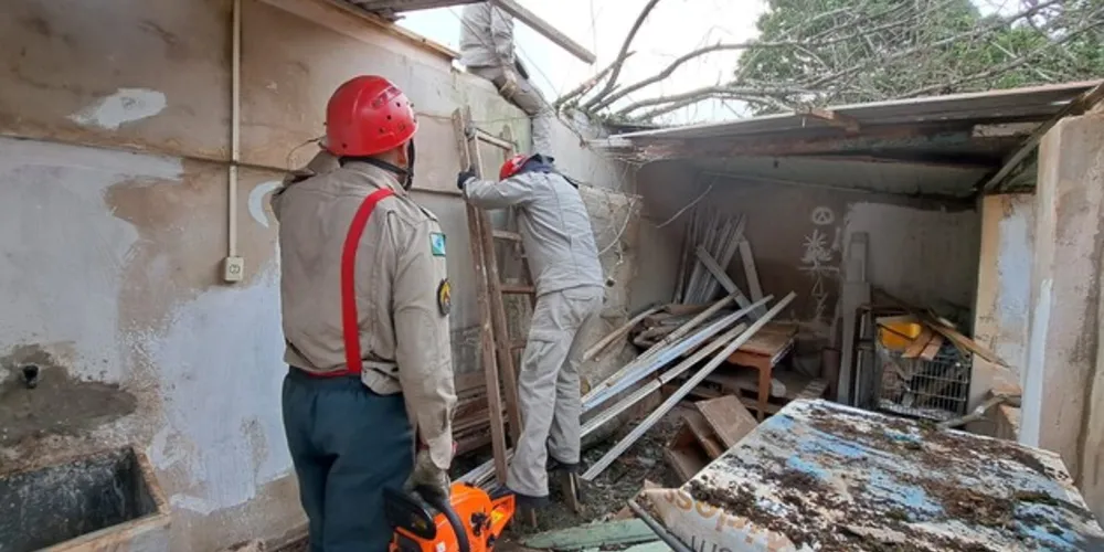 Equipes do Corpo de Bombeiros foram acionados até o local para efetuar a remoção