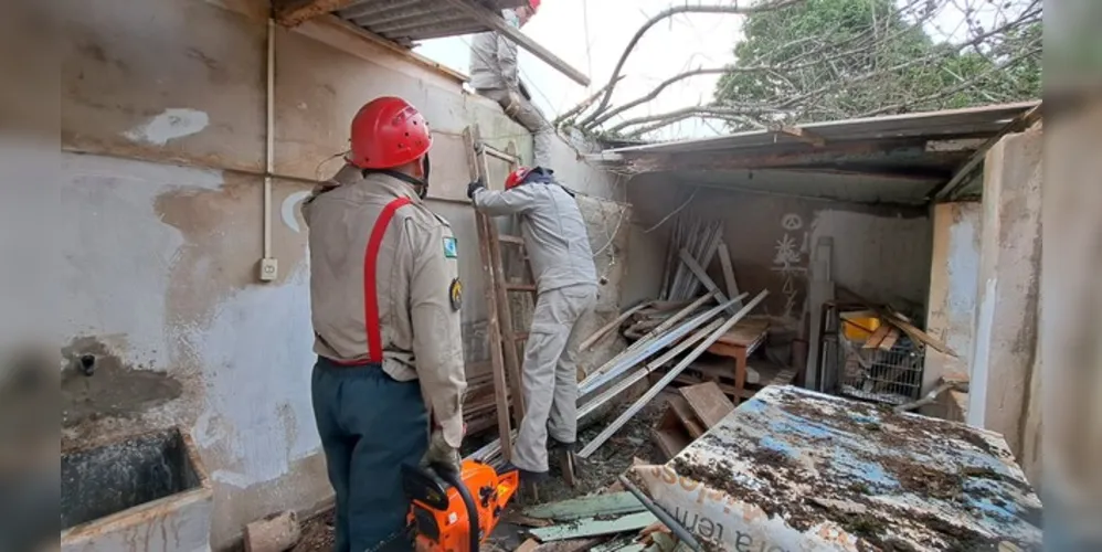 Equipes do Corpo de Bombeiros foram acionados até o local para efetuar a remoção