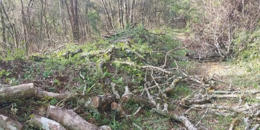 Policiais flagram os danos em áreas nesta terça-feira (17)
