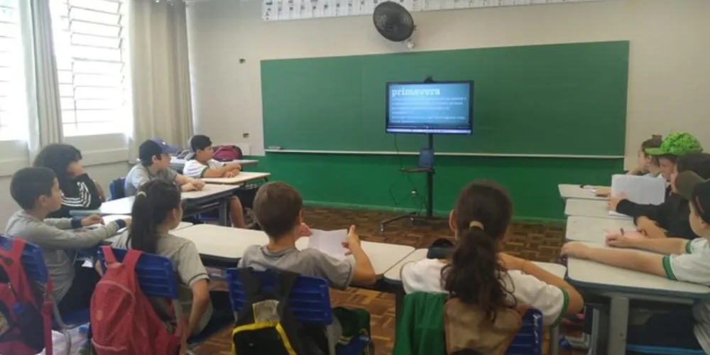 As atividades foram baseadas na videoaula do projeto Vamos Ler sobre a primavera