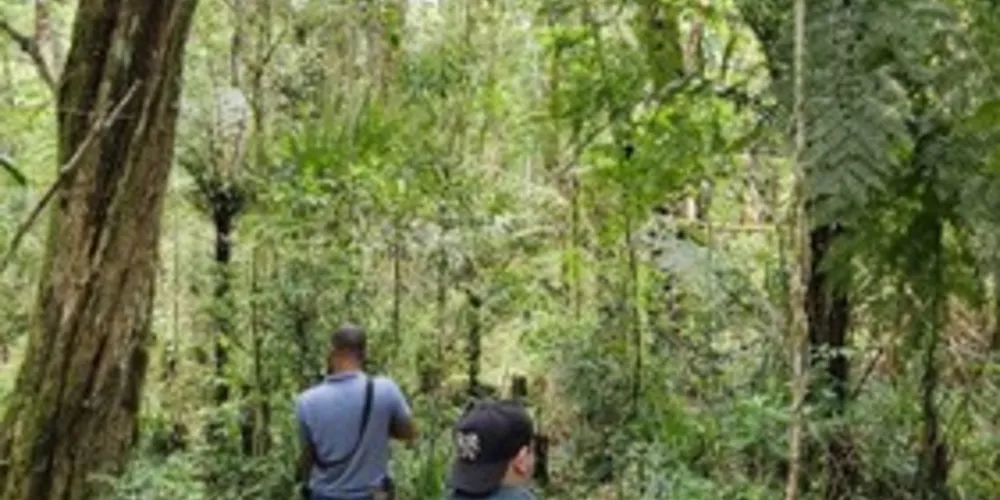 Policiais fizeram buscas em área de mata fechada