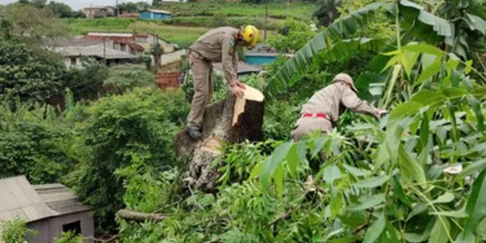 Oficiais também atuaram no corte de árvores caídas