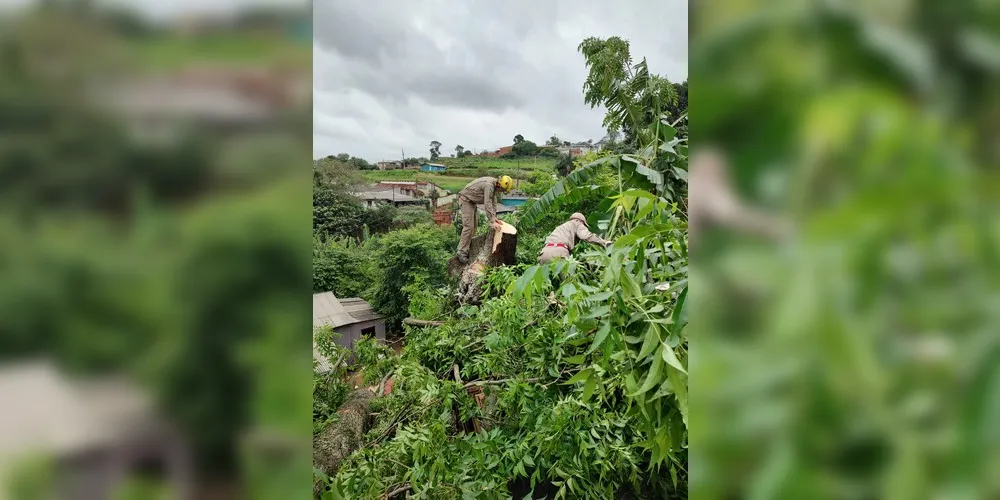 Oficiais também atuaram no corte de árvores caídas