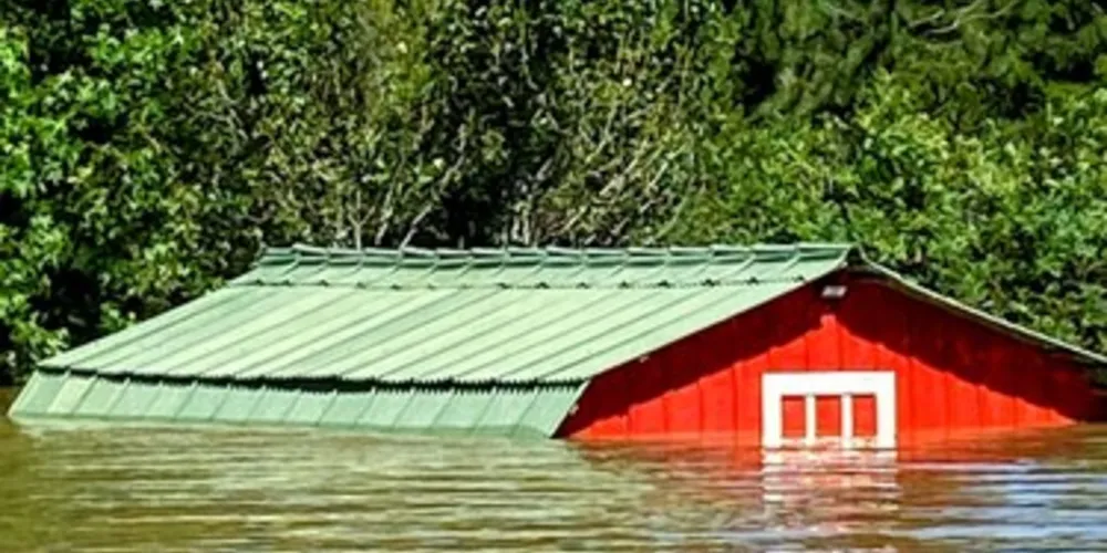 Água subiu e alagou completamente três casas - duas ficaram parcialmente alagadas
