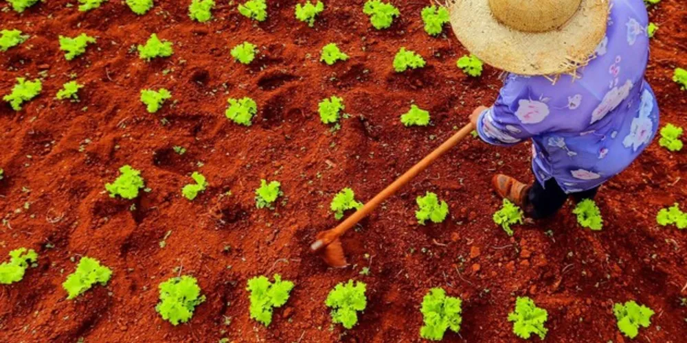 Foto 'Dona Maria', que recebeu menção honrosa no Brasília Photo Show