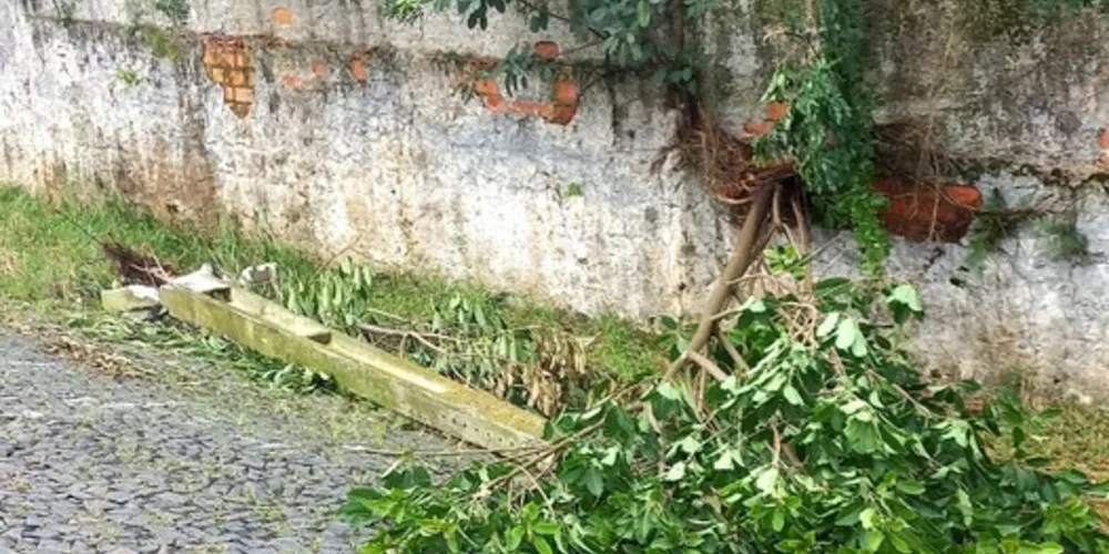 População também reclama das más condições da calçada, que fica ao lado de terreno da FASPG