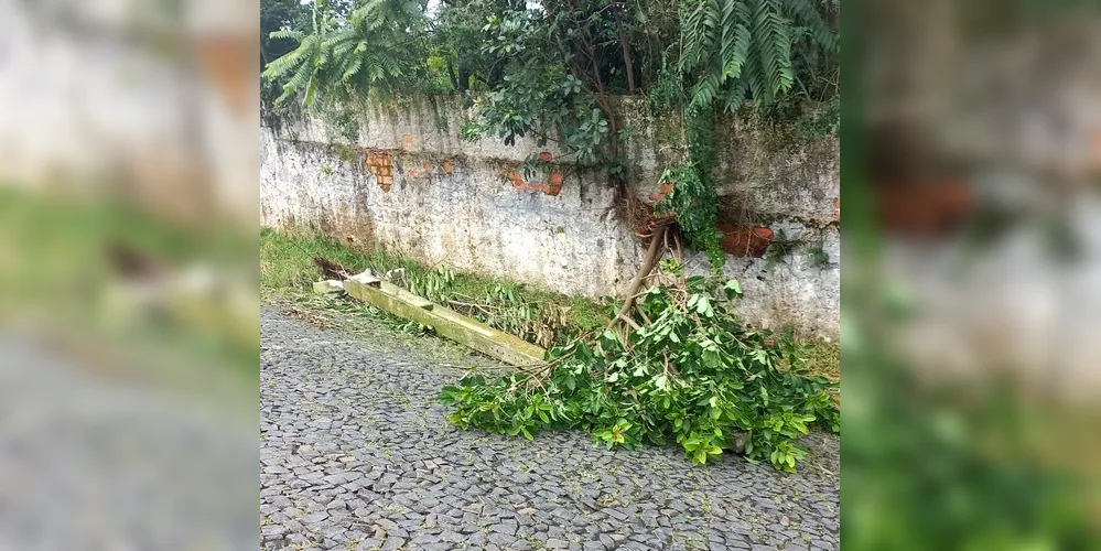 População também reclama das más condições da calçada, que fica ao lado de terreno da FASPG