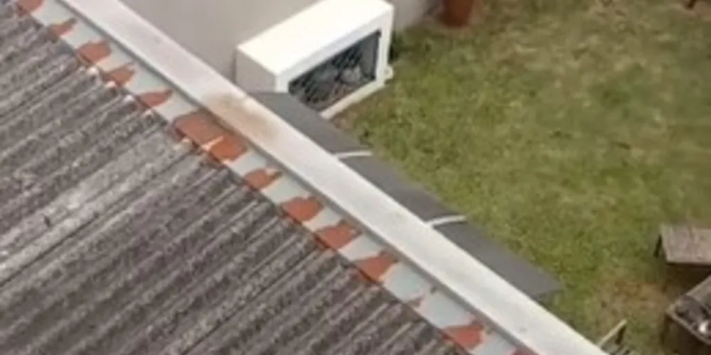 Imagens foram flagradas por moradores da região