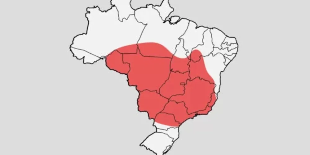 Segundo o instituto, onda de calor é intensificada pelo El Niño