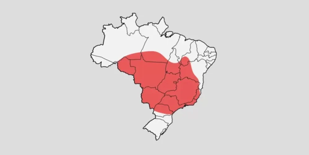 Segundo o instituto, onda de calor é intensificada pelo El Niño