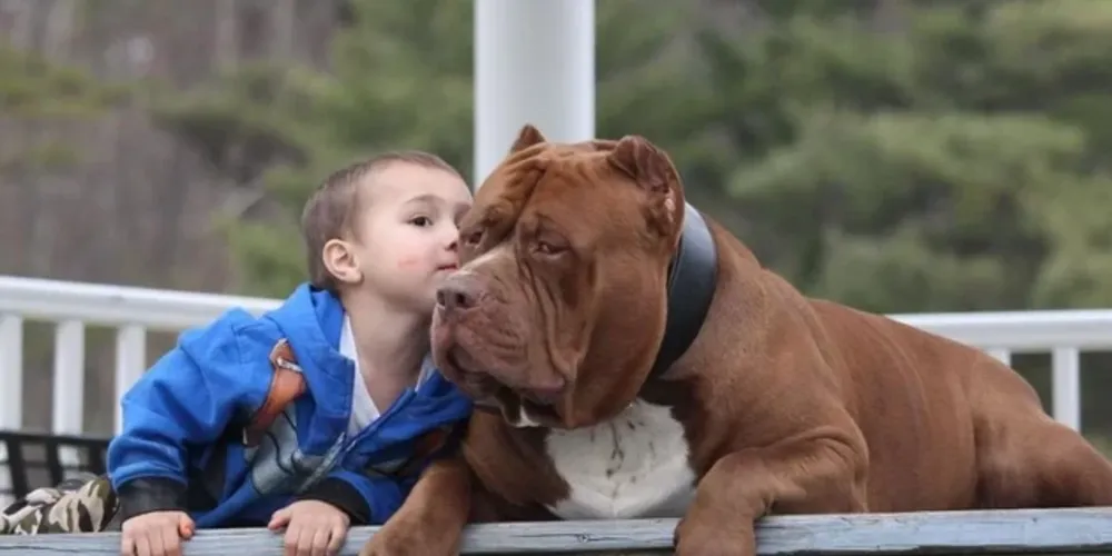 Confira o treinamento no vídeo