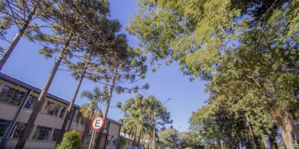 Colégio Agrícola é administrado pela Universidade Estadual de Ponta Grossa desde 1980