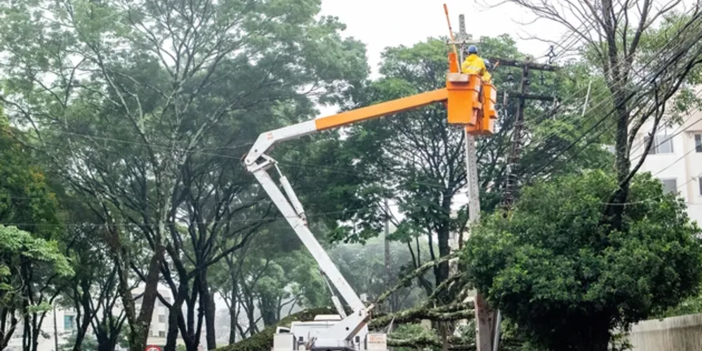 Equipes atuam em diversas regiões do Paraná
