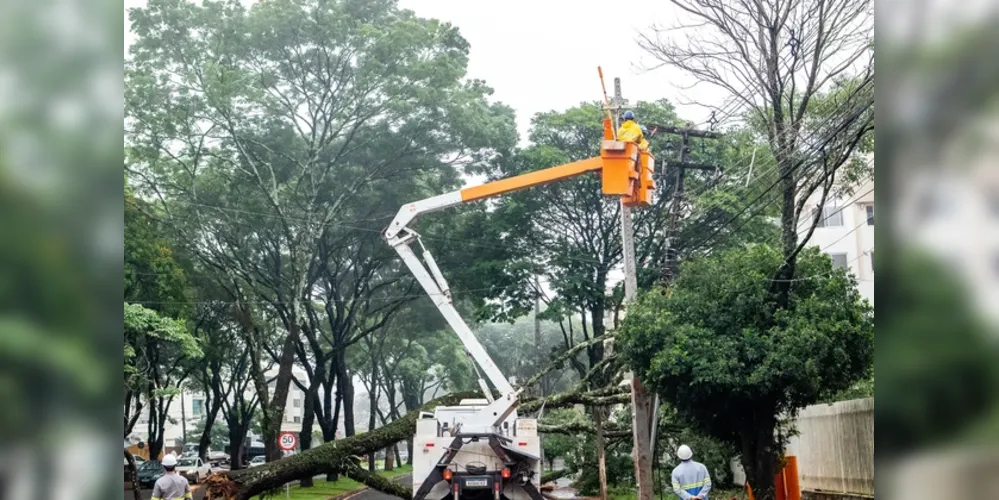 Equipes atuam em diversas regiões do Paraná