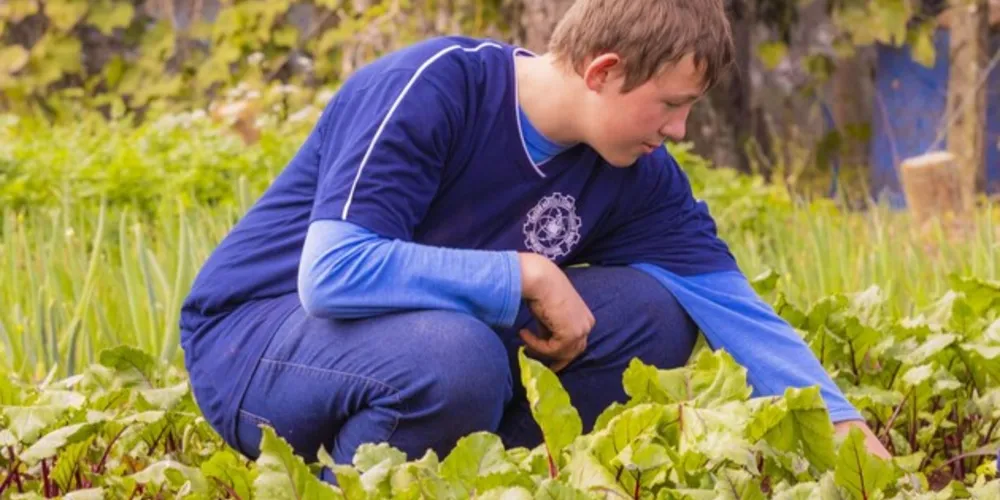 Processo seletivo para ingresso no Colégio Agrícola está com inscrições abertas