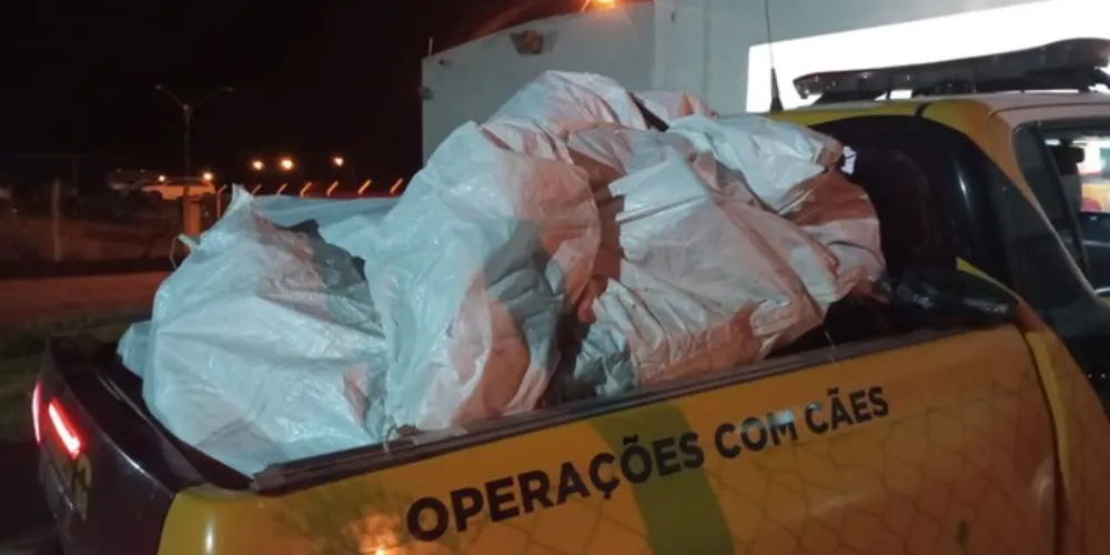 A Polícia Rodoviária Estadual (PRE) realizou, entre a noite de sexta-feira (24) e a madrugada deste sábado (25), uma operação de fiscalização na PR-151, km 264, em Piraí do Sul