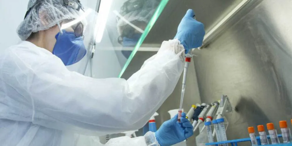 A nova variante vem ganhando proporção global e já corresponde a 3,2% dos registros em todo o mundo