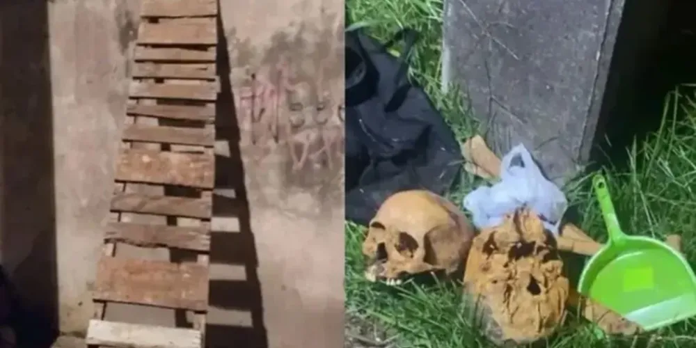 Guarda Municipal flagrou mulheres transportando crânio