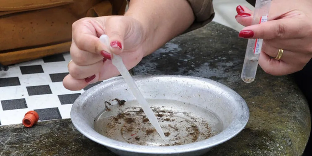 A Sesa realiza nesta quarta-feira (22) o Dia D de Combate à Dengue