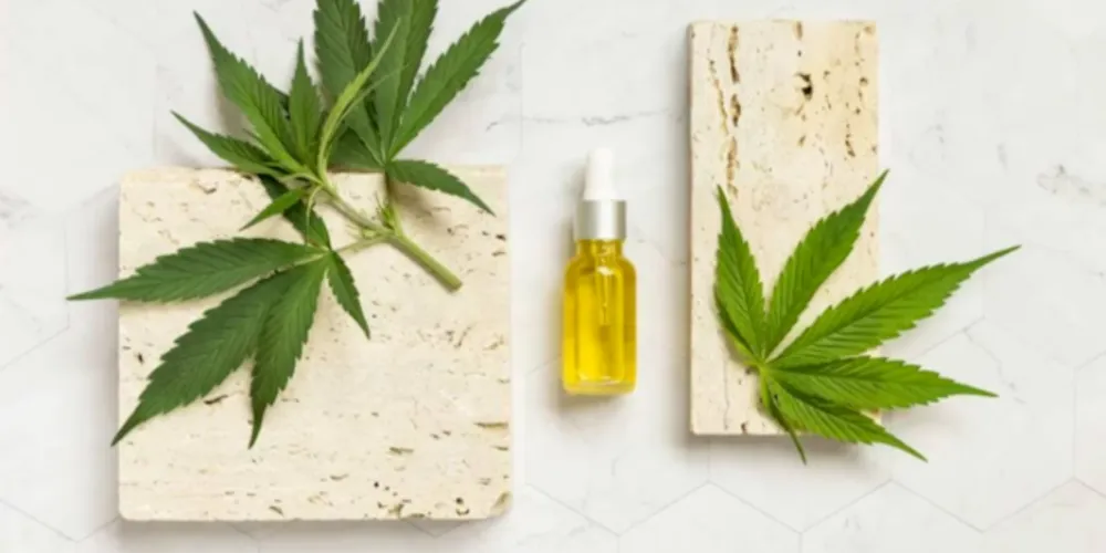 O especialista cita exemplos dos benefícios