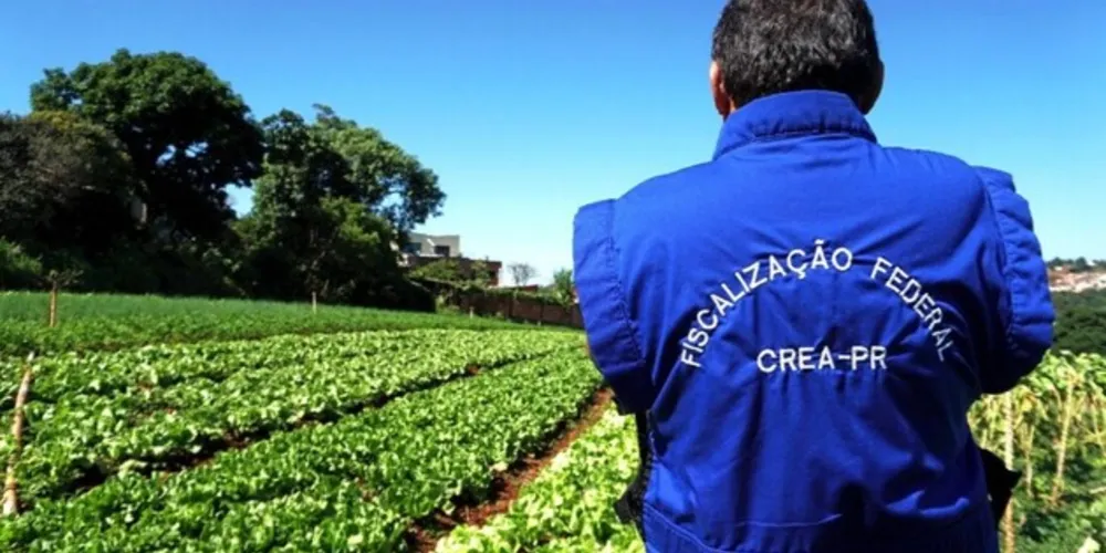 Foram verificadas 355 propriedades rurais