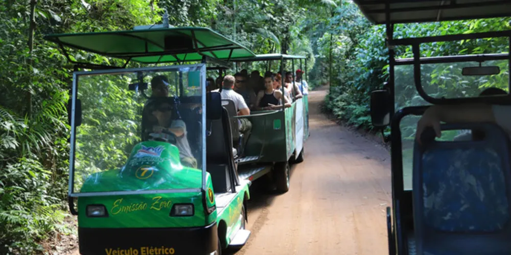04/2019 - Foz do Iguaçu - Macuco Safari. Foto: José Fernando Ogura/ANPr