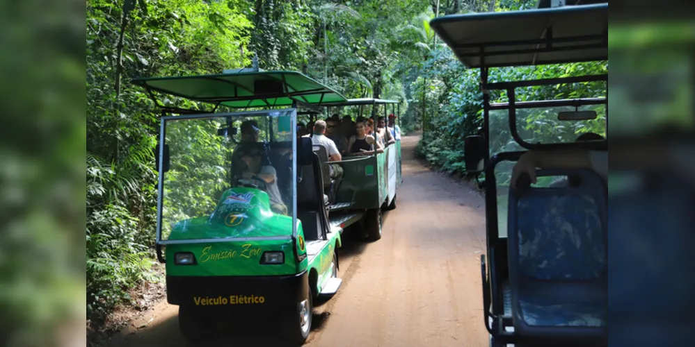 04/2019 - Foz do Iguaçu - Macuco Safari. Foto: José Fernando Ogura/ANPr