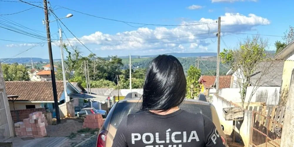 O indivíduo furtou um celular e uma geladeira em 2021