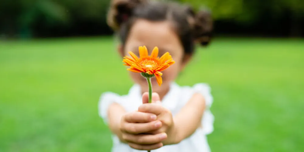 Produção apresenta os benefícios de ser grato e nutrir boas relações