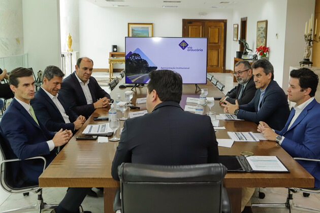 O trecho sob responsabilidade do grupo recebeu o nome de Via Araucária e foi o primeiro dos seis lotes do programa a ser leiloado