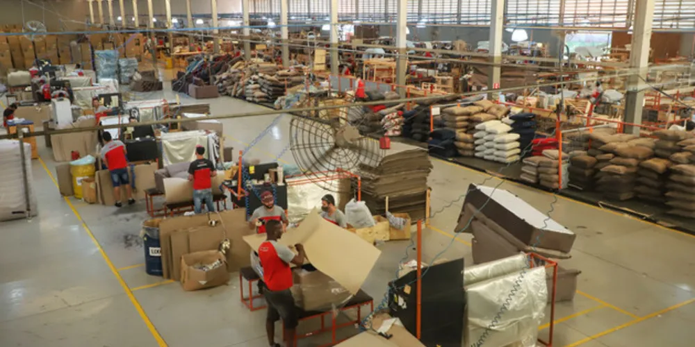 Paraná colocou 61,6 mil jovens no mercado de trabalho em 2023, melhor resultado do Sul