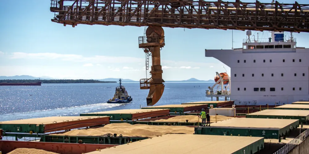 Portos do Paraná prevê aumento de 203% na movimentação de soja no último trimestre